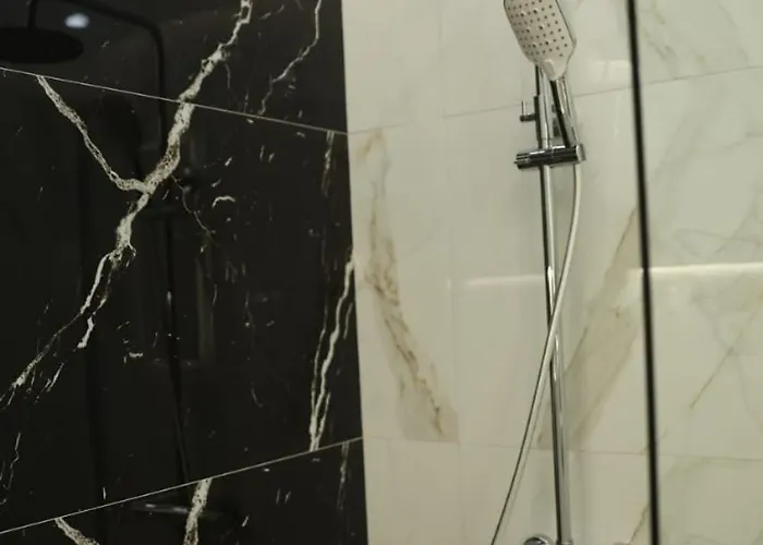 Main Luxury 1 * Tirana